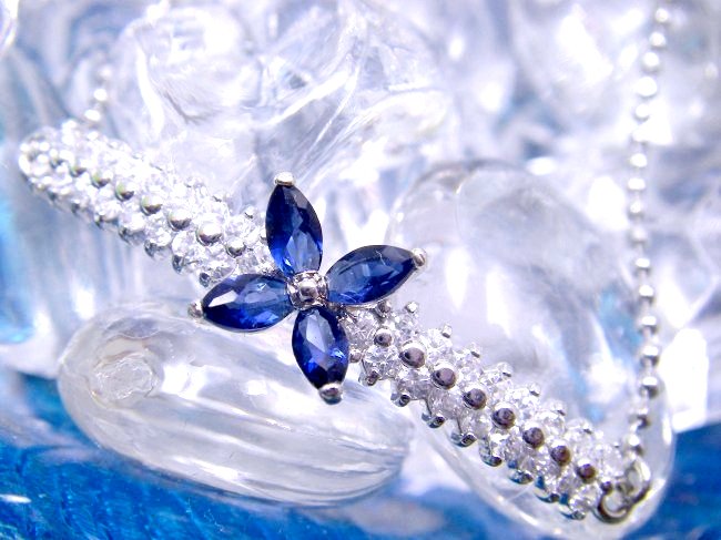 CZ�A�N�Z�T���[�@�t�����[���`�[�t�@�T�t�@�C���@�u���X���b�g