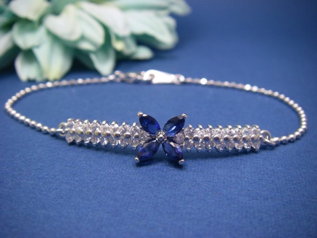 CZ�A�N�Z�T���[�@�t�����[���`�[�t�@�T�t�@�C���@�u���X���b�g