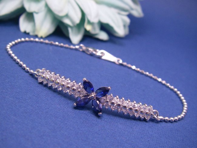 CZ�A�N�Z�T���[�@�t�����[���`�[�t�@�T�t�@�C���@�u���X���b�g