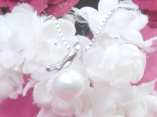 �p�[���̃y���_���g