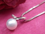 CZ�@�L���[�r�b�N�W���R�j�A�@�}�W�����J�p�[���@�y���_���g