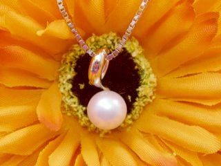 �p�[���̃y���_���g