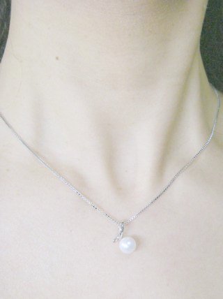 �p�[���̃y���_���g