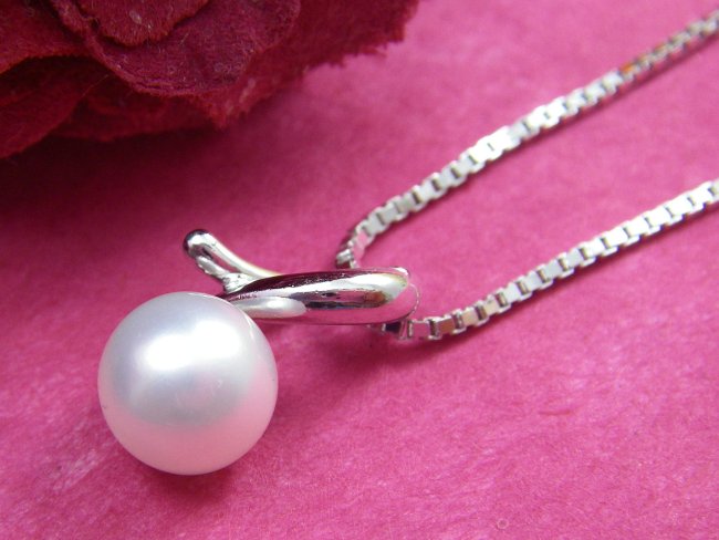 �p�[���̃y���_���g