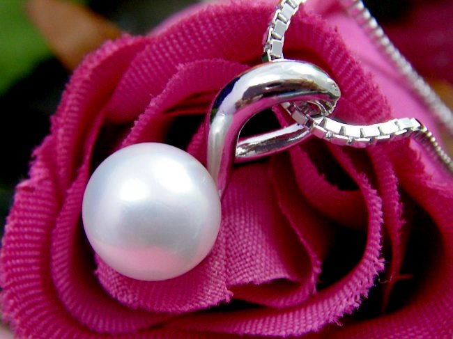 �p�[���̃y���_���g