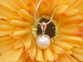 �p�[���̃y���_���g