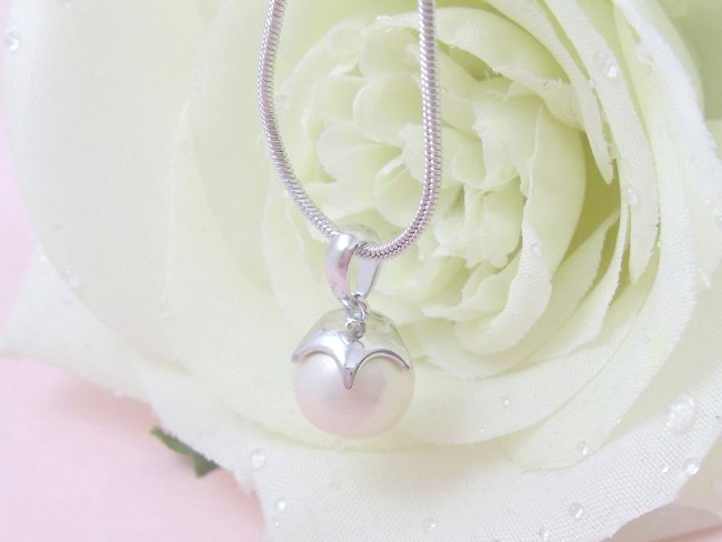 �p�[���̃y���_���g