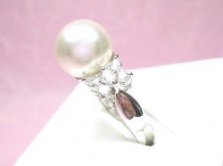 �}�W�����J�E�p�[���ƃL���[�r�b�N�W���R�j�A�̃����O