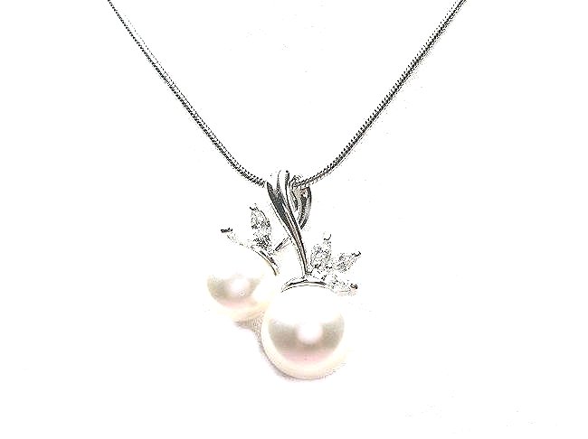 �p�[���y���_���g