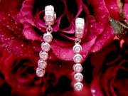 CZ�@�L���[�r�b�N�W���R�j�A�@�s�A�X