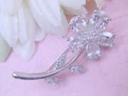 �L���[�r�b�N�W���R�j�A�̃u���[�`