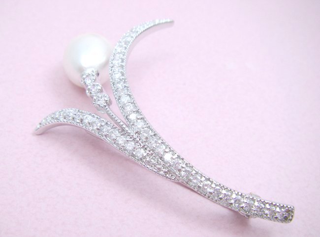 �}�W�����J�E�p�[���ƃL���[�r�b�N�W���R�j�A�@�u���[�`