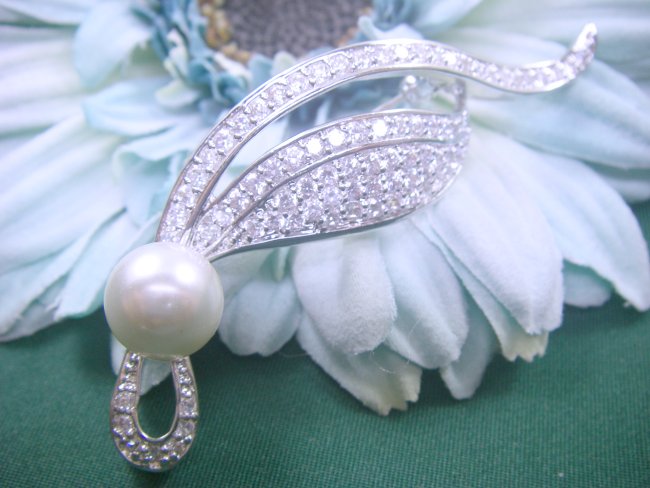 �p�[���@�u���[�`