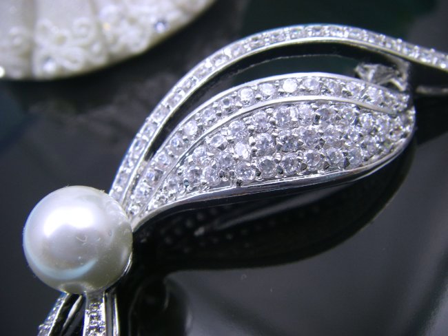 �p�[���@�u���[�`