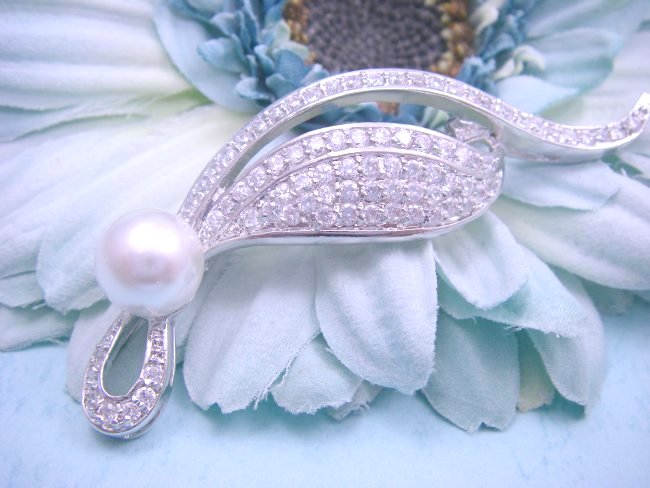 �p�[���@�u���[�`