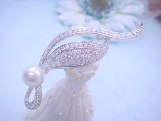 �p�[���@�u���[�`