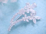 �L���[�r�b�N�W���R�j�A�̃u���[�`