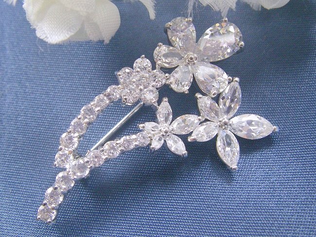 �L���[�r�b�N�W���R�j�A�@�u���[�`�@�t�����[���`�[�t