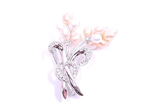 �W���p�[���ƃL���[�r�b�N�W���R�j�A�@�u���[�`�@�t�����[���`�[�t