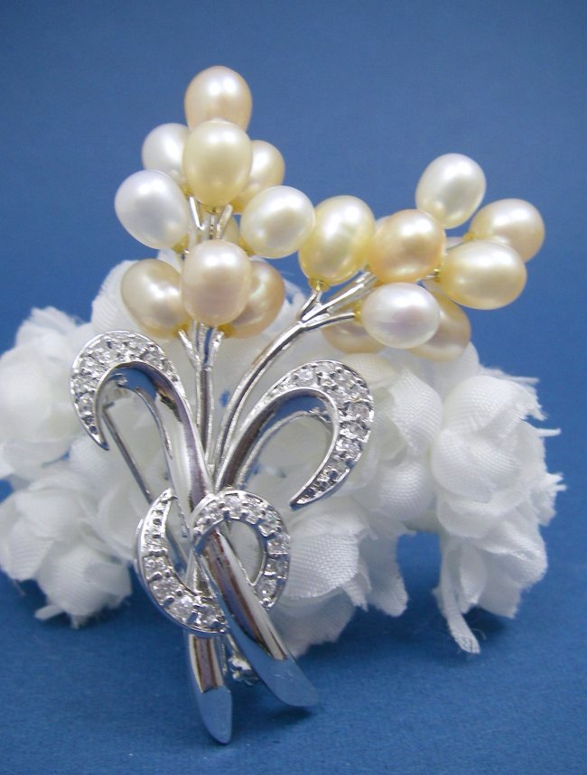 �W���p�[���ƃL���[�r�b�N�W���R�j�A�@�u���[�`�@�t�����[���`�[�t