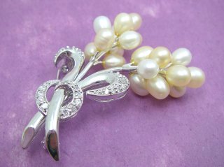 �W���p�[���ƃL���[�r�b�N�W���R�j�A�@�u���[�`�@�t�����[���`�[�t