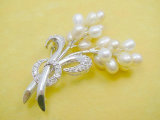 �W���p�[���ƃL���[�r�b�N�W���R�j�A�@�u���[�`�@�t�����[���`�[�t