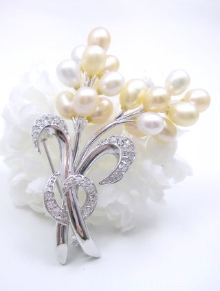 �W���p�[���ƃL���[�r�b�N�W���R�j�A�@�u���[�`�@�t�����[���`�[�t