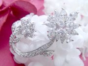 �L���[�r�b�N�W���R�j�A�̃u���[�`