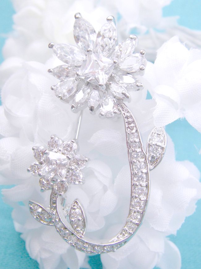 �L���[�r�b�N�W���R�j�A�@�u���[�`�@�t�����[���`�[�t