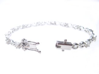 �L���[�r�b�N�W���R�j�A�̃u���X���b�g