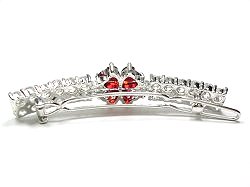 �L���[�r�b�N�W���R�j�A�̃w�A�E�A�N�Z�T���[