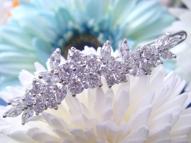 �L���[�r�b�N�W���R�j�A�̃w�A�E�A�N�Z�T���[