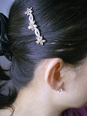 �L���[�r�b�N�W���R�j�A�̃w�A�E�A�N�Z�T���[