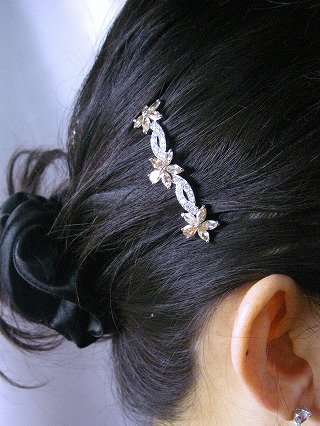 �L���[�r�b�N�W���R�j�A�̃w�A�E�A�N�Z�T���[