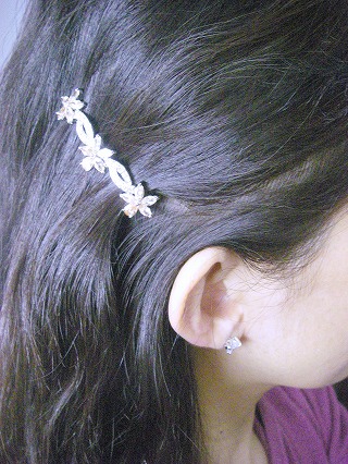 �L���[�r�b�N�W���R�j�A�̃w�A�E�A�N�Z�T���[