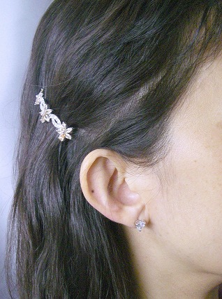 �L���[�r�b�N�W���R�j�A�̃w�A�E�A�N�Z�T���[