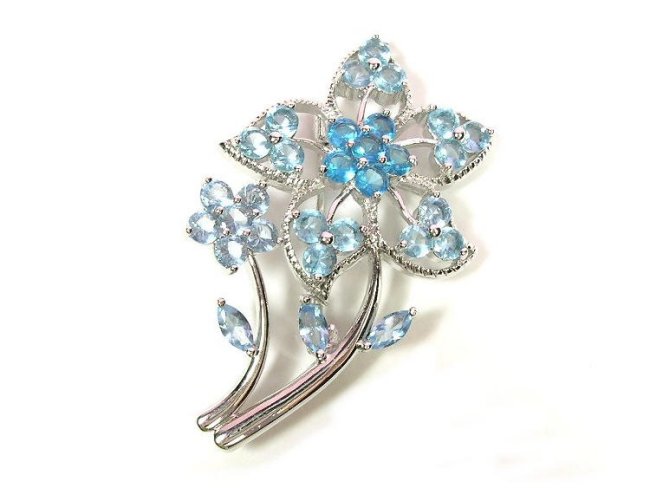 �u���[�` �t�����[���`�[�t