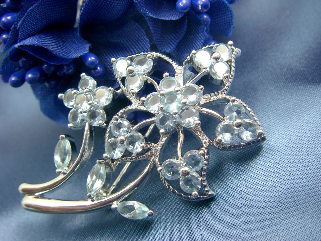 �u���[�` �t�����[���`�[�t