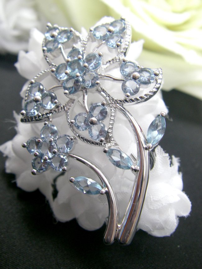 �u���[�` �t�����[���`�[�t