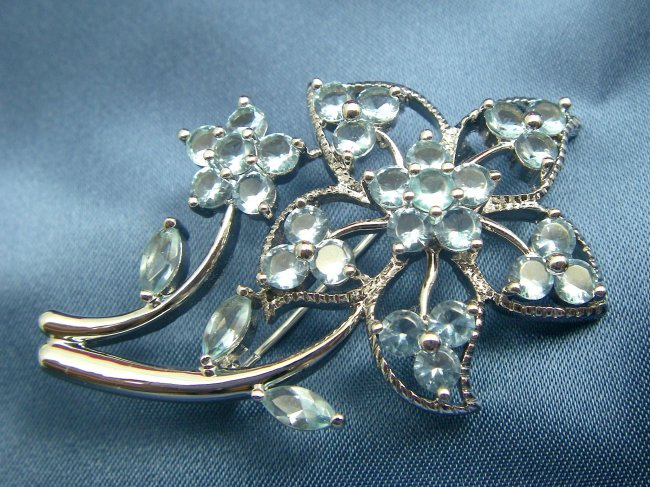 �u���[�` �t�����[���`�[�t