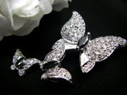 CZ�@SV�L���[�r�b�N�W���R�j�A�@�u���[�`�@�o�^�t���C