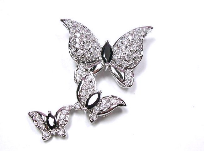 �o�^�t���C�@�u���[�`