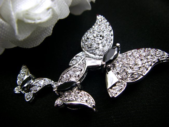 �L���[�r�b�N�W���R�j�A�̃u���[�`�@�o�^�t���C