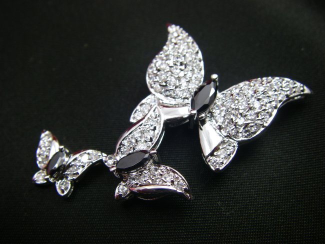 �L���[�r�b�N�W���R�j�A�̃u���[�`�@�o�^�t���C