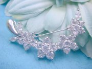 �L���[�r�b�N�W���R�j�A�̃u���[�`