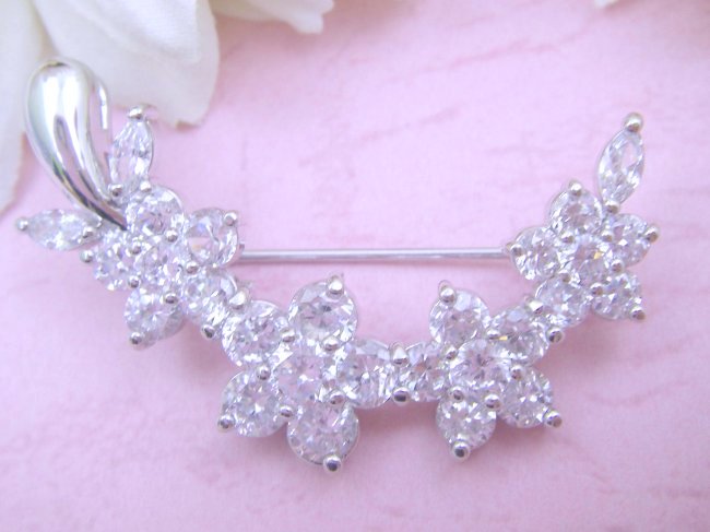 cz�@�u���[�`