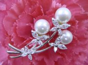 CZ�@�L���[�r�b�N�W���R�j�A�@�}�W�����J�p�[���u���[�`