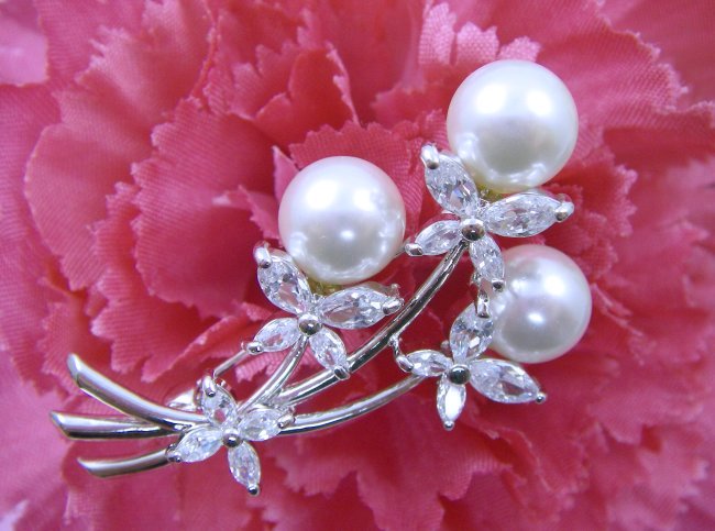 �}�W�����J�p�[���ƃL���[�r�b�N�W���R�j�A�̃u���[�`