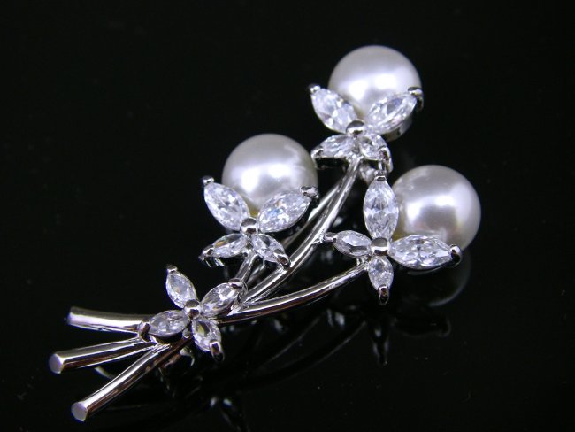 �}�W�����J�p�[���ƃL���[�r�b�N�W���R�j�A�̃u���[�`