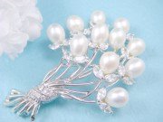 CZ�@�L���[�r�b�N�W���R�j�A�@�}�W�����J�p�[���u���[�`